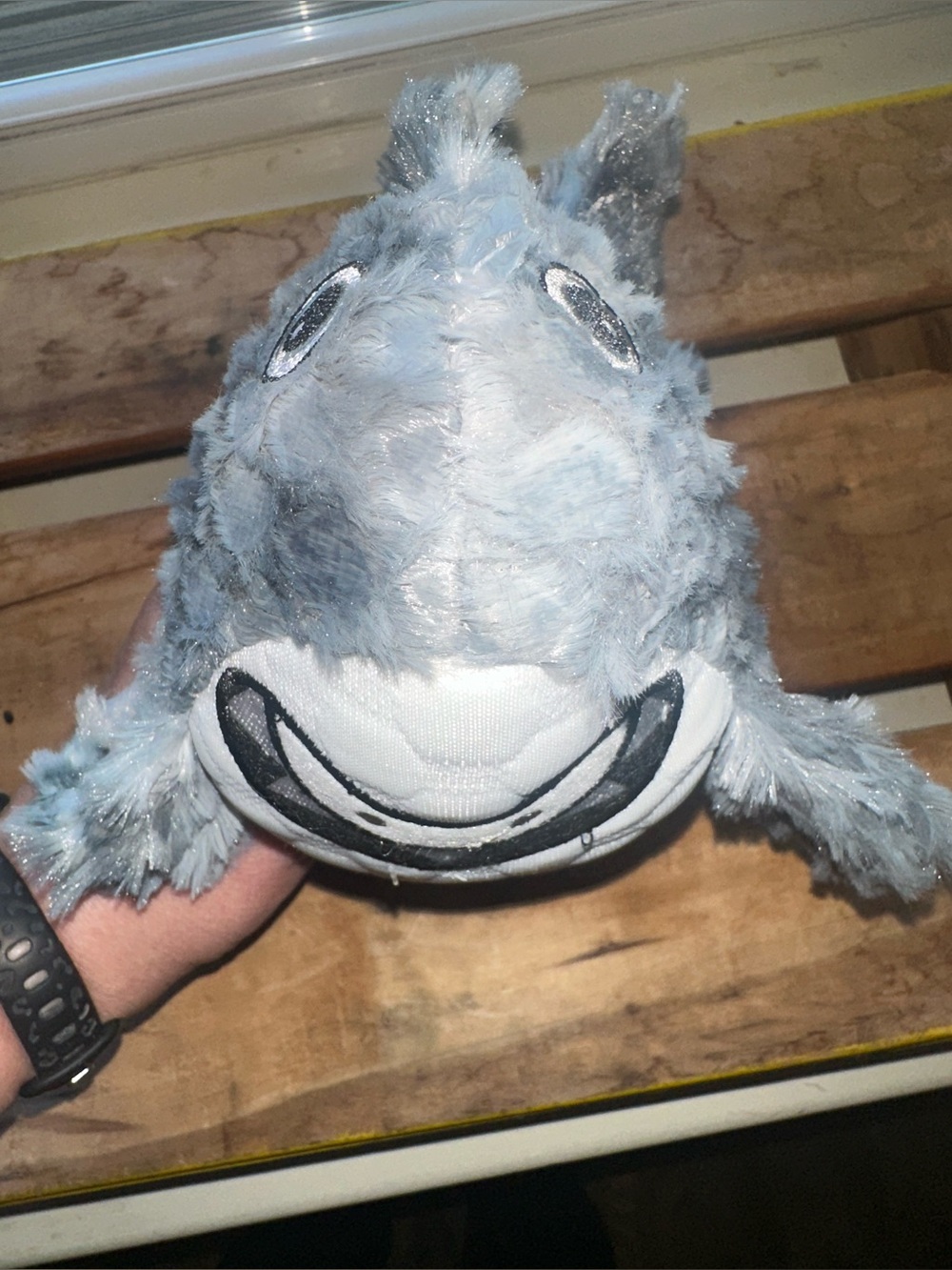 Shark Plush Dog Toy ~ New